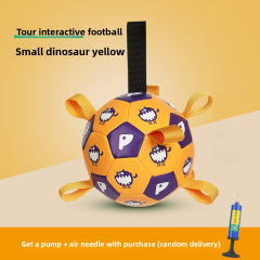 Little Dinosaur Yellow
