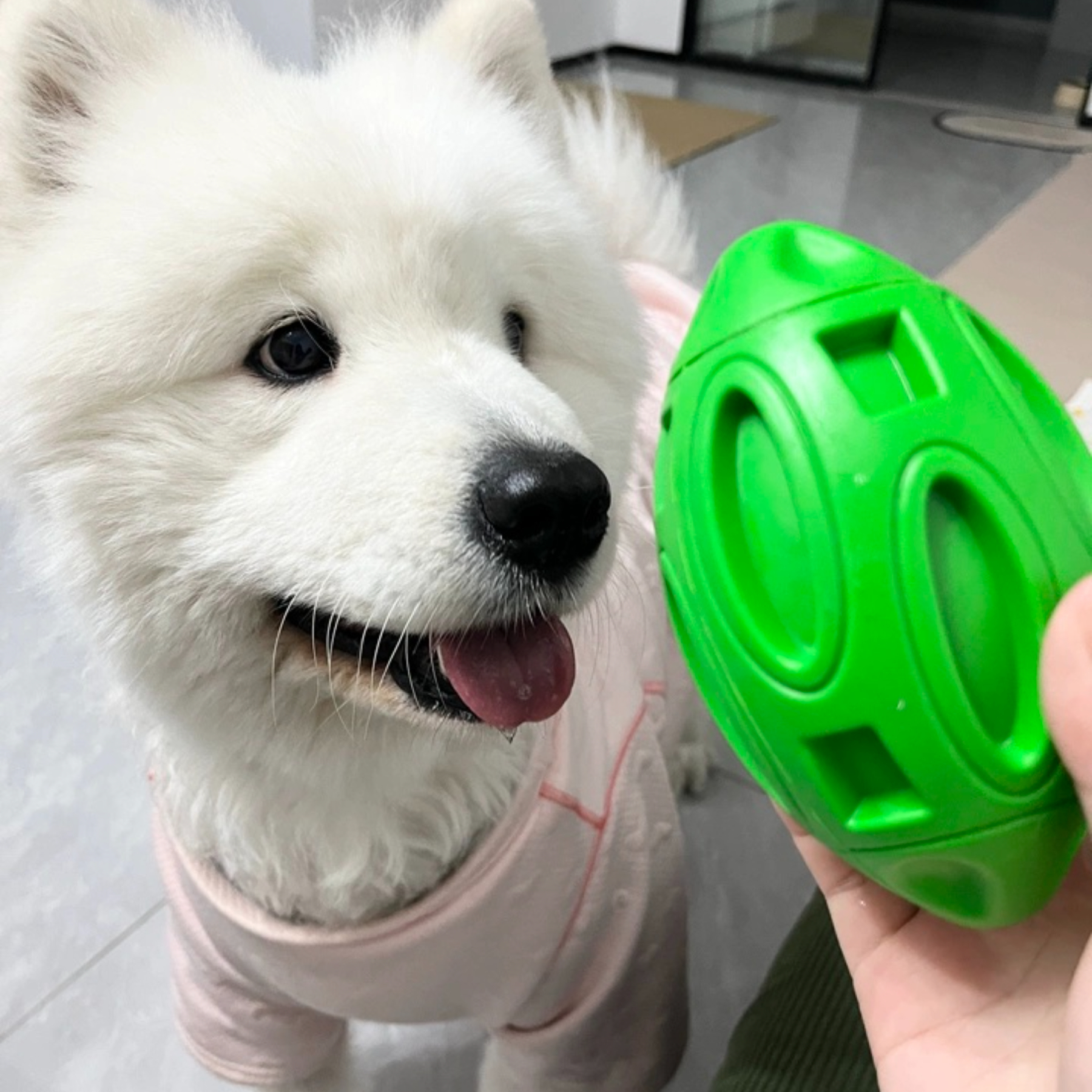 Cartoon Fashion Squeaky TPR Olive Dog Chew Toy Durable Bite-Resistant Ball for Daily Use for Teething Puppies,U-ME PET LUV,TPR Squeaky Rugby Ball for Dogs - Tough Chew, Teeth Cleaning & Grinding Toy