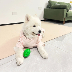 Cartoon Fashion Squeaky TPR Olive Dog Chew Toy Durable Bite-Resistant Ball for Daily Use for Teething Puppies,U-ME PET LUV,TPR Squeaky Rugby Ball for Dogs - Tough Chew, Teeth Cleaning & Grinding Toy