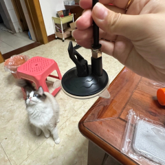 Wholesale Interactive Pet Toys PVC PP Material Cartoony Sucker Feather Stick Squeaky Sound for Cats Dogs Daily Use,U-ME PET LUV,Hands-Free Window Feather Teaser with Suction Base - Self-Entertaining Cat Toy