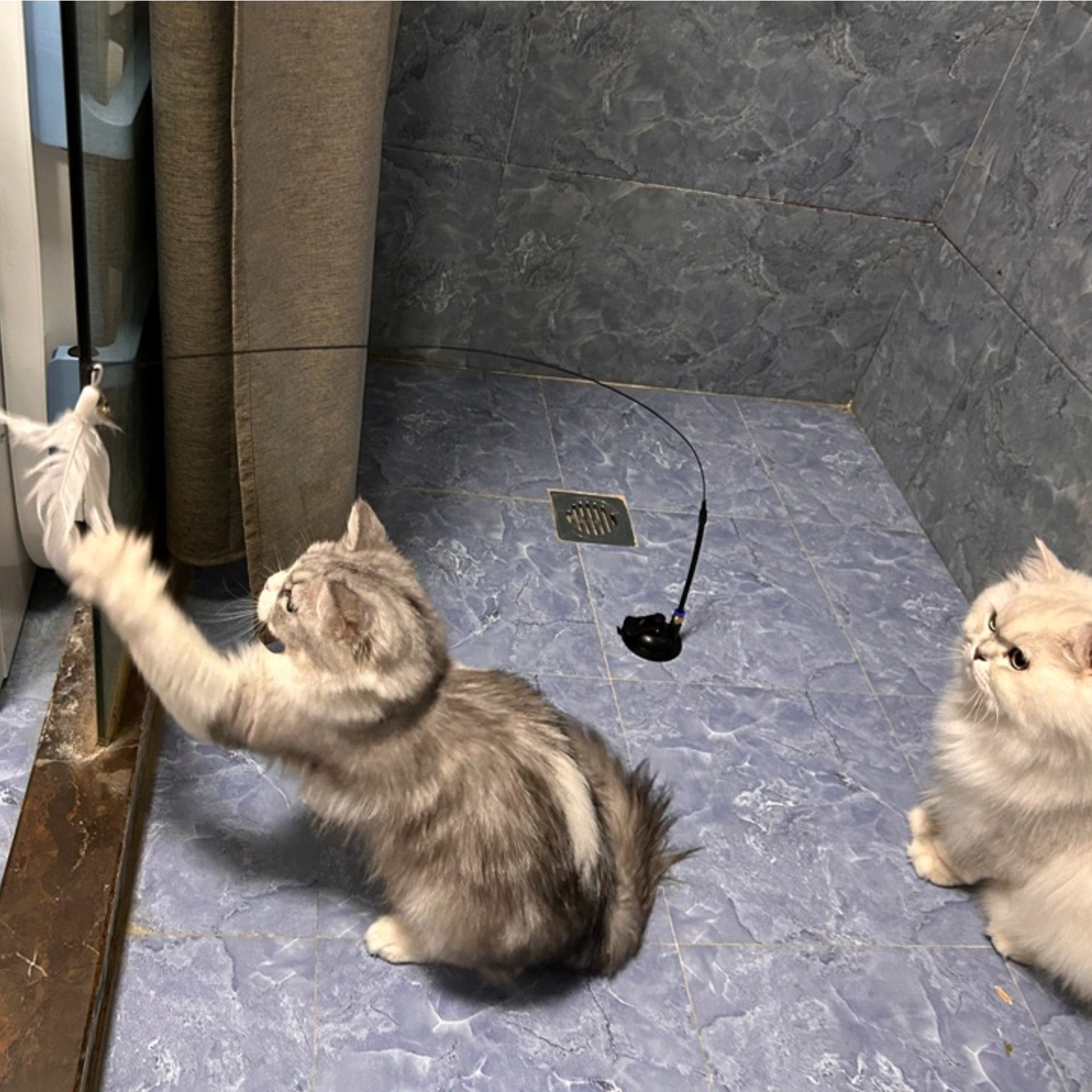 Wholesale Interactive Pet Toys PVC PP Material Cartoony Sucker Feather Stick Squeaky Sound for Cats Dogs Daily Use,U-ME PET LUV,Hands-Free Window Feather Teaser with Suction Base - Self-Entertaining Cat Toy