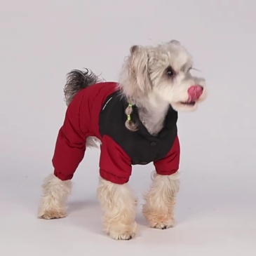 Wholesale of pet clothing for autumn and winter - Dog four - legged cotton - padded clothes with a stand - up collar, windproof, snow - proof, warm and comfortable dog cotton - padded jackets.,U-ME PET LUV,Wholesale of pet clothing for autumn and winter - Dog four - legged cotton - padded clothes with a stand - up collar, windproof, snow - proof, warm and comfortable dog cotton - padded jackets.