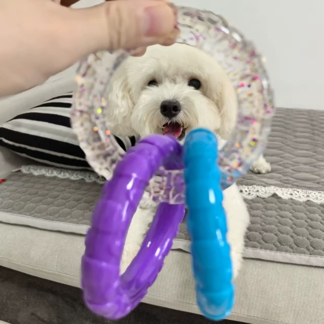 Tri-Color Interactive Chew-Proof Dog Chewer Ring - Durable Playtime Toy,U-ME PET LUV,Tri-Color Chew-Proof Dog Chewer Ring - Durable Playtime Toy