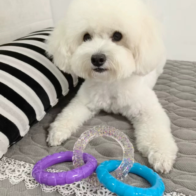 Tri-Color Interactive Chew-Proof Dog Chewer Ring - Durable Playtime Toy,U-ME PET LUV,Tri-Color Chew-Proof Dog Chewer Ring - Durable Playtime Toy