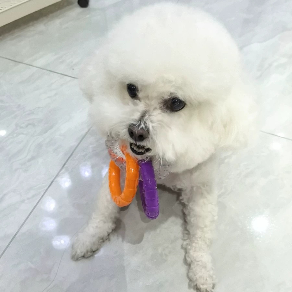 Tri-Color Interactive Chew-Proof Dog Chewer Ring - Durable Playtime Toy,U-ME PET LUV,Tri-Color Chew-Proof Dog Chewer Ring - Durable Playtime Toy