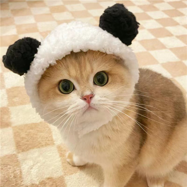 Cute Bear Shape Pet Hat New Release Winter Hair Accessory for Dogs Cats Cotton Polyester Cute Design for Winter and Fall,U-ME PET LUV,Large Bear Shape Pet Hat New Release Winter Hair Accessory for Dogs Cats Cotton Polyester Cute Design for Summer Spring