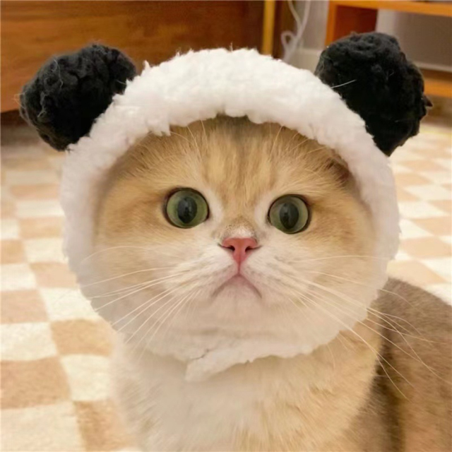 Cute Bear Shape Pet Hat New Release Winter Hair Accessory for Dogs Cats Cotton Polyester Cute Design for Winter and Fall,U-ME PET LUV,Large Bear Shape Pet Hat New Release Winter Hair Accessory for Dogs Cats Cotton Polyester Cute Design for Summer Spring