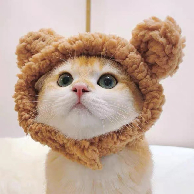Cute Bear Shape Pet Hat New Release Winter Hair Accessory for Dogs Cats Cotton Polyester Cute Design for Winter and Fall,U-ME PET LUV,Large Bear Shape Pet Hat New Release Winter Hair Accessory for Dogs Cats Cotton Polyester Cute Design for Summer Spring