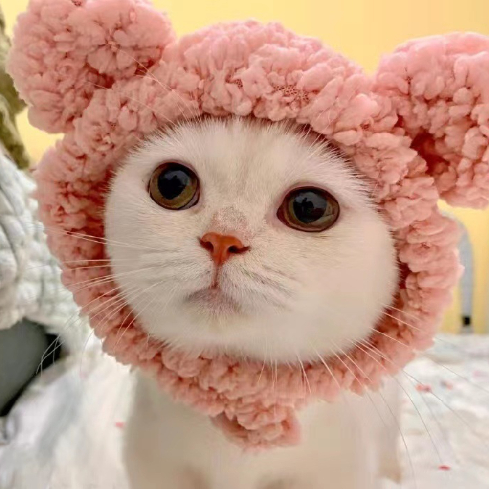 Cute Bear Shape Pet Hat New Release Winter Hair Accessory for Dogs Cats Cotton Polyester Cute Design for Winter and Fall,U-ME PET LUV,Large Bear Shape Pet Hat New Release Winter Hair Accessory for Dogs Cats Cotton Polyester Cute Design for Summer Spring