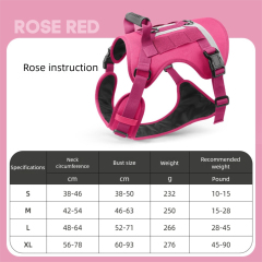 Rose Red