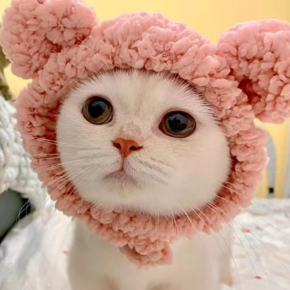 Cute Bear Shape Pet Hat New Release Winter Hair Accessory for Dogs Cats Cotton Polyester Cute Design for Winter and Fall,U-ME PET LUV,Large Bear Shape Pet Hat New Release Winter Hair Accessory for Dogs Cats Cotton Polyester Cute Design for Summer Spring