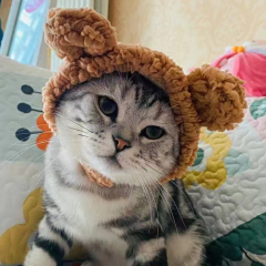 Cute Bear Shape Pet Hat New Release Winter Hair Accessory for Dogs Cats Cotton Polyester Cute Design for Winter and Fall,U-ME PET LUV,Large Bear Shape Pet Hat New Release Winter Hair Accessory for Dogs Cats Cotton Polyester Cute Design for Summer Spring