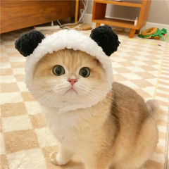 Panda Hat