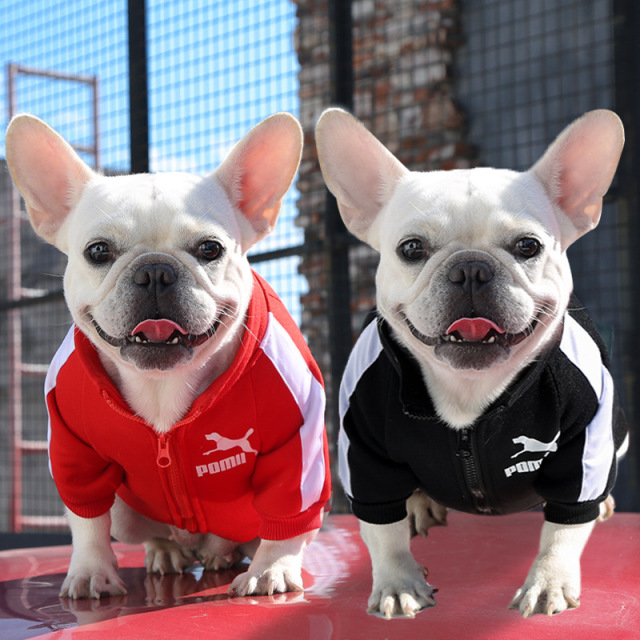 Hot Selling Winter Warm Dog Hoodie Lightweight Polyester Letter Print Washable for French Bulldog Cats Small Medium Large Pets,U-ME PET LUV,Winter Thermal Letter Print Fleece Hoodie for Dogs (French Bulldog, Bichon, Small to Large Breeds) & Cats | Pet Apparel
