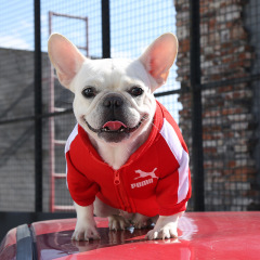 Hot Selling Winter Warm Dog Hoodie Lightweight Polyester Letter Print Washable for French Bulldog Cats Small Medium Large Pets,U-ME PET LUV,Winter Thermal Letter Print Fleece Hoodie for Dogs (French Bulldog, Bichon, Small to Large Breeds) & Cats | Pet Apparel