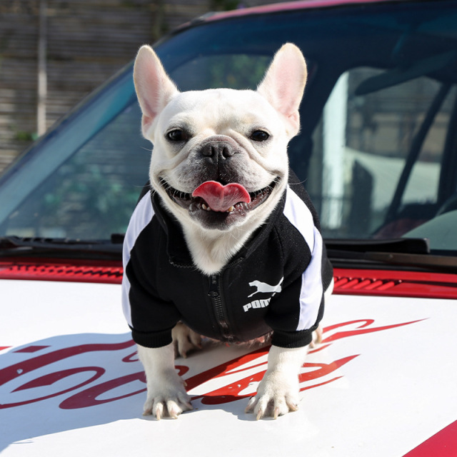 Hot Selling Winter Warm Dog Hoodie Lightweight Polyester Letter Print Washable for French Bulldog Cats Small Medium Large Pets,U-ME PET LUV,Winter Thermal Letter Print Fleece Hoodie for Dogs (French Bulldog, Bichon, Small to Large Breeds) & Cats | Pet Apparel