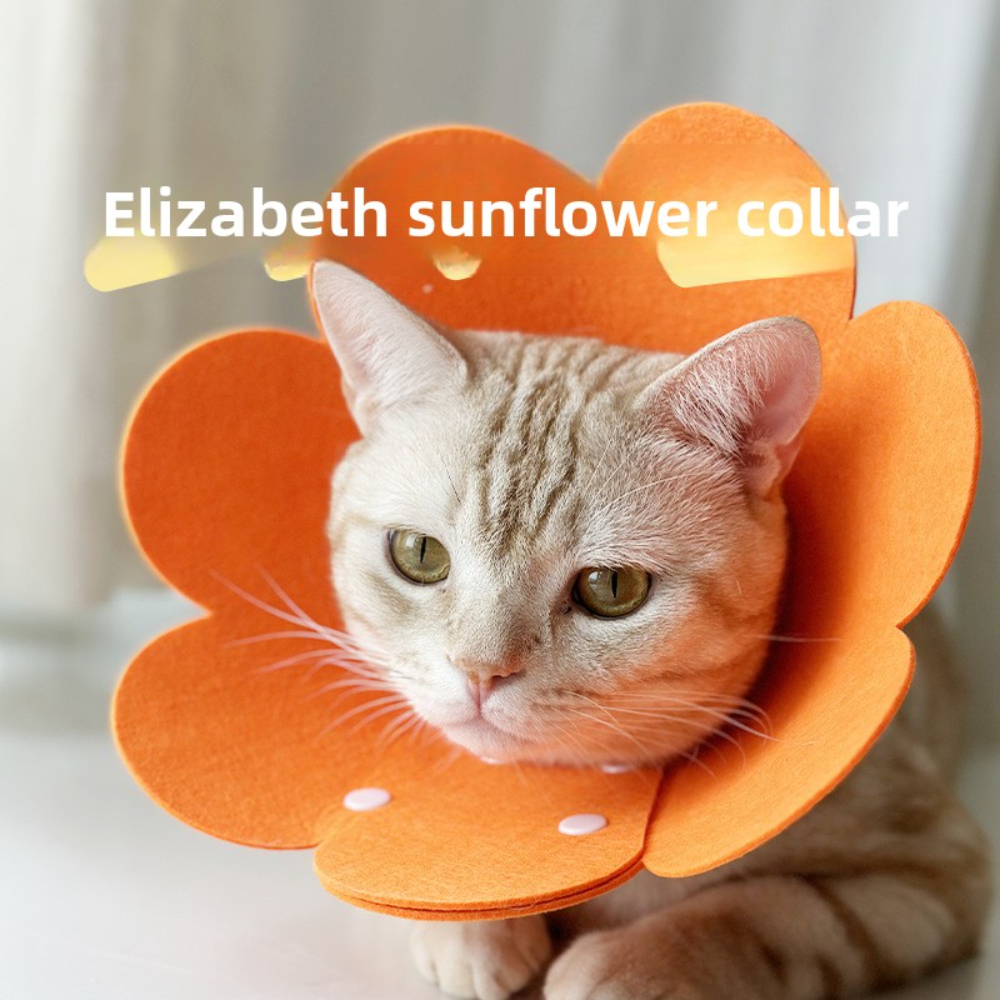 Elizabeth Luxury Cat Collar Anti-Licking Sterilization Soft Shame Ring Modern Cartoon Style Kitty Pet Collar for Cats and Dogs,U-ME PET LUV,Elizabeth Luxury Cat Collar Anti-Licking Sterilization Soft Shame Ring Modern Cartoon Style Kitty Pet Collar for Cats and Dogs