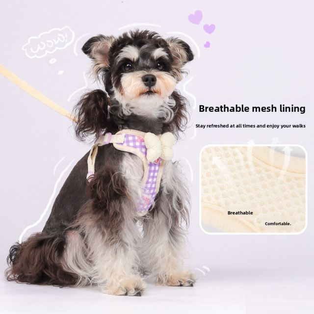 Luxurious Modern Cartoon-Style Anti-Break Dog Leash Soft Bow Sweet Wind Chest Strap Comfortable Ribbons Fashionable Breathable,U-ME PET LUV,Luxurious Modern Cartoon-Style Anti-Break Dog Leash Soft Bow Sweet Wind Chest Strap Comfortable Ribbons Fashionable Breathable