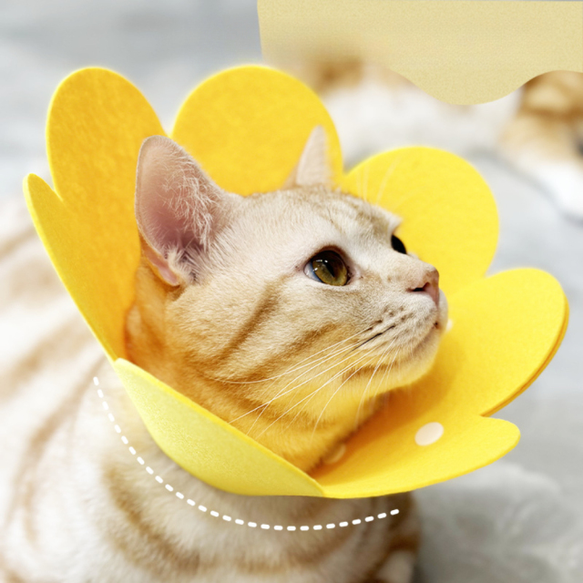 Elizabeth Luxury Cat Collar Anti-Licking Sterilization Soft Shame Ring Modern Cartoon Style Kitty Pet Collar for Cats and Dogs,U-ME PET LUV,Elizabeth Luxury Cat Collar Anti-Licking Sterilization Soft Shame Ring Modern Cartoon Style Kitty Pet Collar for Cats and Dogs