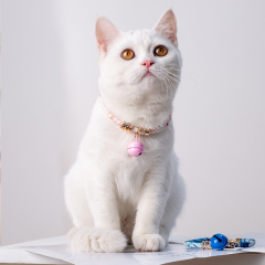 Elegant Luxury Cat and Dog Collar Personalized with Elegant Ribbons and Print Polyester Cotton Bell Decor Pet Supplies,U-ME PET LUV,Elegant Luxury Cat and Dog Collar Personalized with Elegant Ribbons and Print Polyester Cotton Bell Decor Pet Supplies