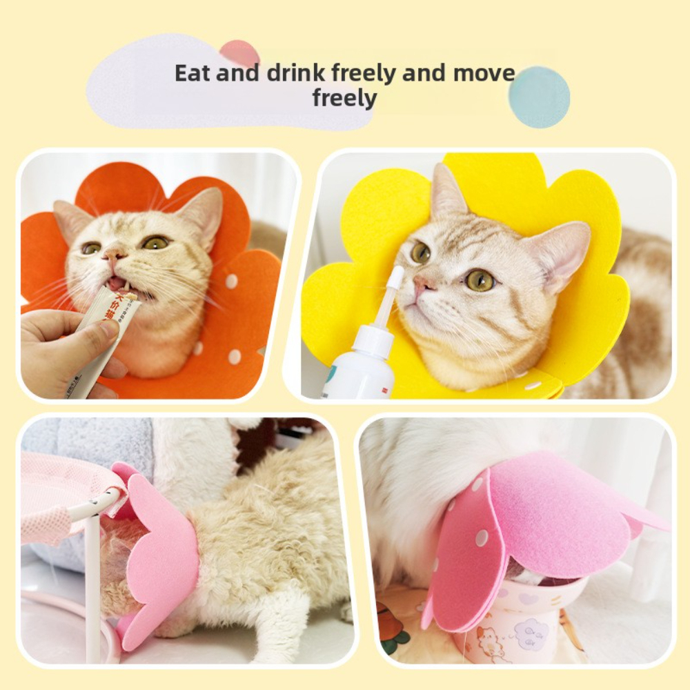 Elizabeth Luxury Cat Collar Anti-Licking Sterilization Soft Shame Ring Modern Cartoon Style Kitty Pet Collar for Cats and Dogs,U-ME PET LUV,Elizabeth Luxury Cat Collar Anti-Licking Sterilization Soft Shame Ring Modern Cartoon Style Kitty Pet Collar for Cats and Dogs