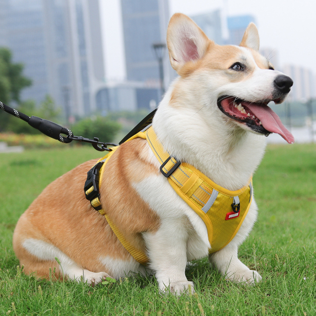 Fashion Luxury Pet Harness Cross-Border Explosion-Proof Dog Leash Reflective Commuter Chest and Back Strap for Medium to Large Dogs Pet Products,U-ME PET LUV,Fashion Cross-Border Explosion-Proof Dog Leash Reflective Commuter Chest and Back Strap for Medium to Large Dogs