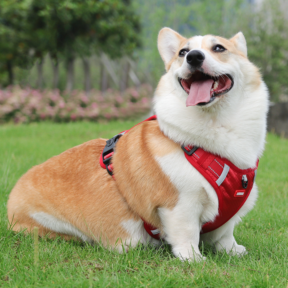 Fashion Luxury Pet Harness Cross-Border Explosion-Proof Dog Leash Reflective Commuter Chest and Back Strap for Medium to Large Dogs Pet Products,U-ME PET LUV,Fashion Cross-Border Explosion-Proof Dog Leash Reflective Commuter Chest and Back Strap for Medium to Large Dogs