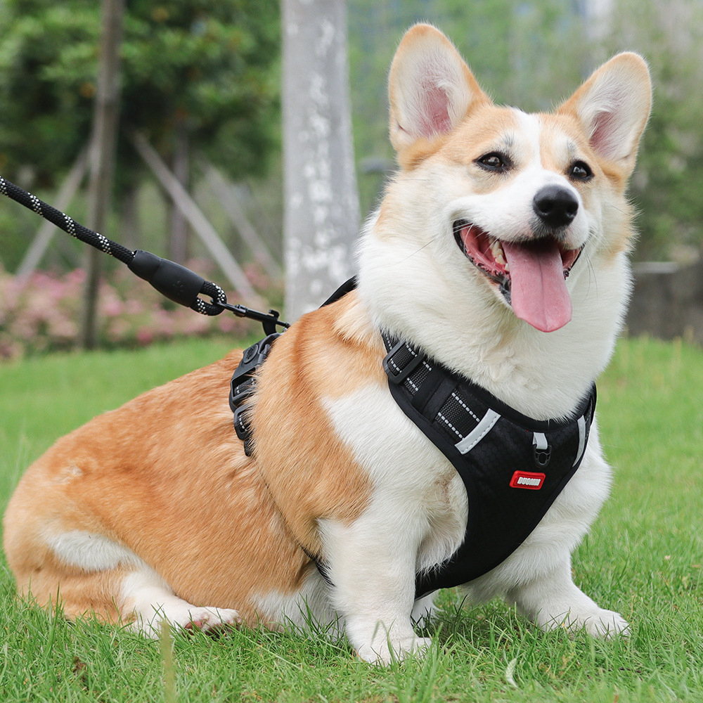 Fashion Luxury Pet Harness Cross-Border Explosion-Proof Dog Leash Reflective Commuter Chest and Back Strap for Medium to Large Dogs Pet Products,U-ME PET LUV,Fashion Cross-Border Explosion-Proof Dog Leash Reflective Commuter Chest and Back Strap for Medium to Large Dogs
