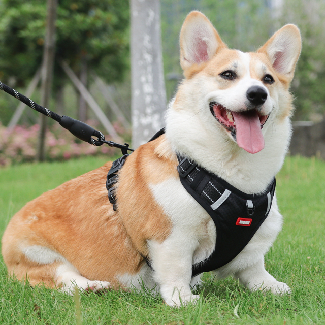 Fashion Luxury Pet Harness Cross-Border Explosion-Proof Dog Leash Reflective Commuter Chest and Back Strap for Medium to Large Dogs Pet Products,U-ME PET LUV,Fashion Cross-Border Explosion-Proof Dog Leash Reflective Commuter Chest and Back Strap for Medium to Large Dogs
