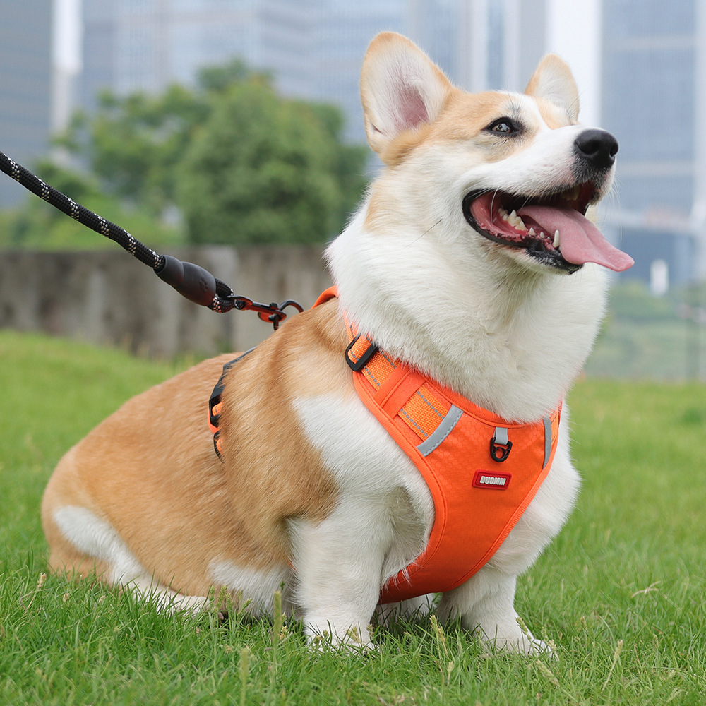Fashion Luxury Pet Harness Cross-Border Explosion-Proof Dog Leash Reflective Commuter Chest and Back Strap for Medium to Large Dogs Pet Products,U-ME PET LUV,Fashion Cross-Border Explosion-Proof Dog Leash Reflective Commuter Chest and Back Strap for Medium to Large Dogs