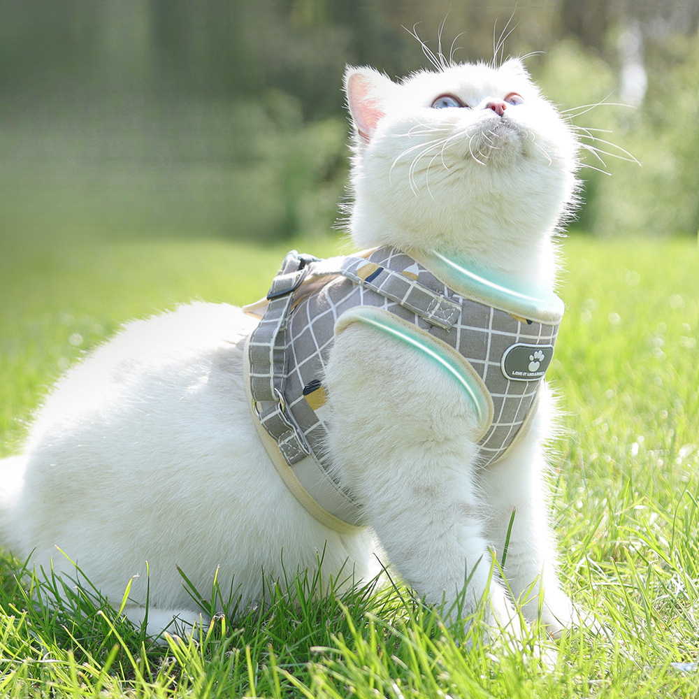 Wholesale Solid Striped Pattern Pet Vest Dog Cat Harness with Breathable Fashion Style Reflective Anti-Break Button Closure Cat Leash for Dog and Cat,U-ME PET LUV,Wholesale Solid Striped Pattern Pet Vest with Breathable Fashion Style Reflective Anti-Break Button Closure Cat Leash for Dog and Cat