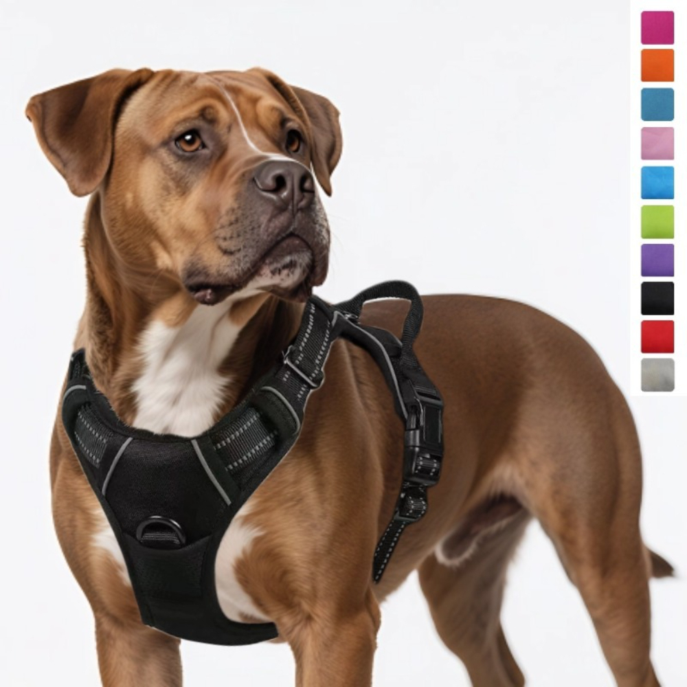 Luxury Nylon Dog Harnesses Reflective Pet Chest Strap for Large Dogs Fashionable Cartoon Style Button Closure Factory Wholesale Pet Harness,U-ME PET LUV,Luxury Nylon Dog Harnesses Reflective Pet Chest Strap for Large Dogs Fashionable Cartoon Style Button Closure Factory Wholesale