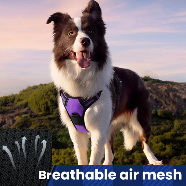 Luxury Nylon Dog Harnesses Reflective Pet Chest Strap for Large Dogs Fashionable Cartoon Style Button Closure Factory Wholesale Pet Harness,U-ME PET LUV,Luxury Nylon Dog Harnesses Reflective Pet Chest Strap for Large Dogs Fashionable Cartoon Style Button Closure Factory Wholesale