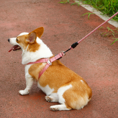 Fashionable Explosion-Proof Dog Leash Quick Release Chest Strap Button Nylon Alloy Pet Supplies Stylish Chest Back Linen Strap,U-ME PET LUV,Fashionable Explosion-Proof Dog Leash Quick Release Chest Strap Button Nylon Alloy Pet Supplies Stylish Chest Back Linen Strap