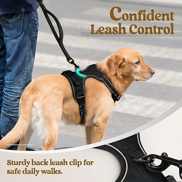 Luxury Nylon Dog Harnesses Reflective Pet Chest Strap for Large Dogs Fashionable Cartoon Style Button Closure Factory Wholesale Pet Harness,U-ME PET LUV,Luxury Nylon Dog Harnesses Reflective Pet Chest Strap for Large Dogs Fashionable Cartoon Style Button Closure Factory Wholesale