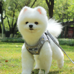 Wholesale Solid Striped Pattern Pet Vest Dog Cat Harness with Breathable Fashion Style Reflective Anti-Break Button Closure Cat Leash for Dog and Cat,U-ME PET LUV,Wholesale Solid Striped Pattern Pet Vest with Breathable Fashion Style Reflective Anti-Break Button Closure Cat Leash for Dog and Cat