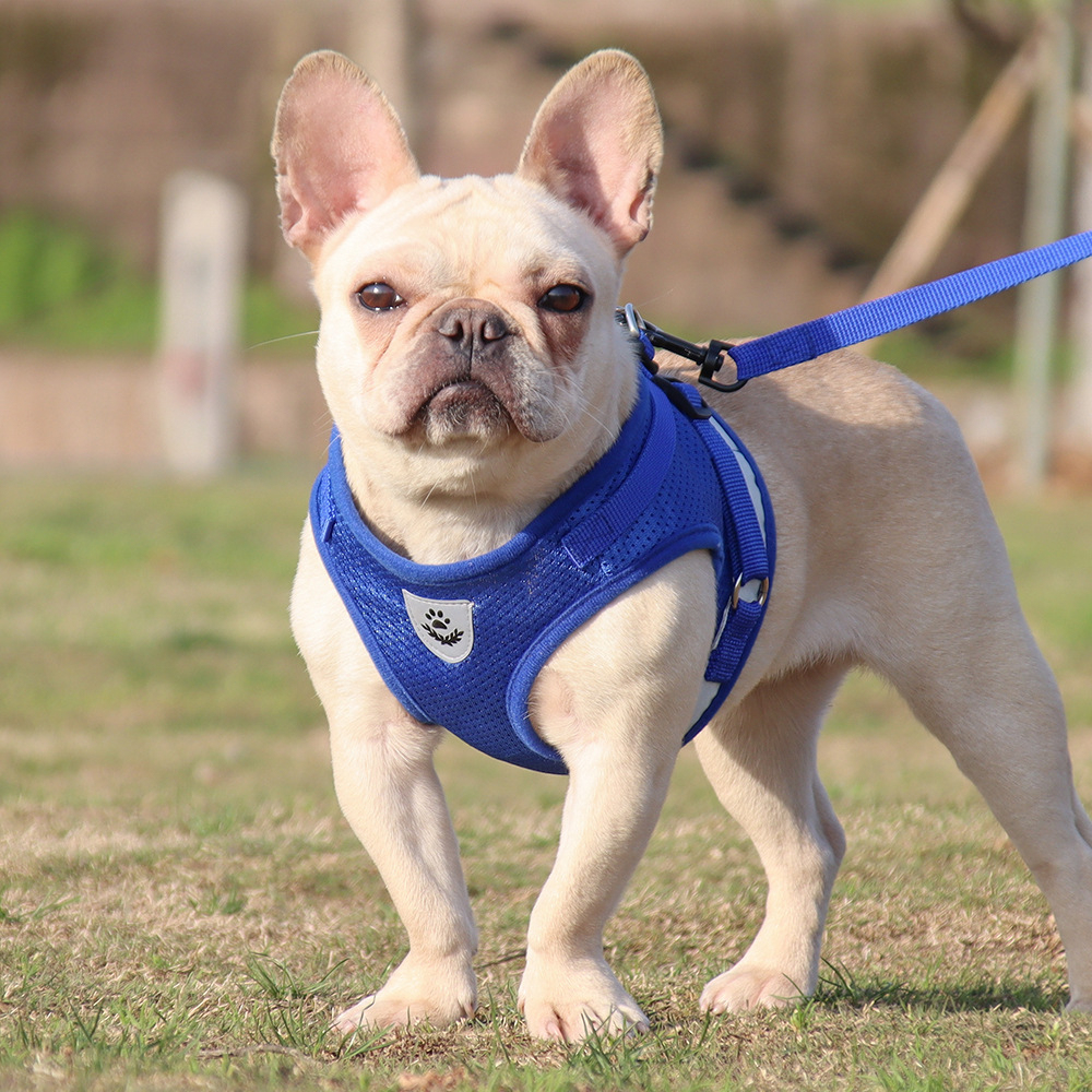 Lightweight Reflective Dog Harness for Small Dogs Breathable Mesh Puppy Vest with Leash Set Night Safety Fashion Pet Supplies,U-ME PET LUV,Lightweight Reflective Dog Harness for Small Dogs Breathable Mesh Puppy Vest with Leash Set Night Safety Fashion Pet Supplies
