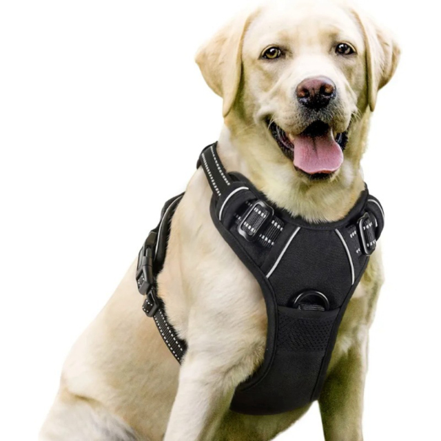 Luxury Nylon Dog Harnesses Reflective Pet Chest Strap for Large Dogs Fashionable Cartoon Style Button Closure Factory Wholesale Pet Harness,U-ME PET LUV,Luxury Nylon Dog Harnesses Reflective Pet Chest Strap for Large Dogs Fashionable Cartoon Style Button Closure Factory Wholesale