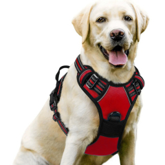 Luxury Nylon Dog Harnesses Reflective Pet Chest Strap for Large Dogs Fashionable Cartoon Style Button Closure Factory Wholesale Pet Harness,U-ME PET LUV,Luxury Nylon Dog Harnesses Reflective Pet Chest Strap for Large Dogs Fashionable Cartoon Style Button Closure Factory Wholesale