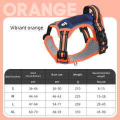 Color-blocking Blue Orange