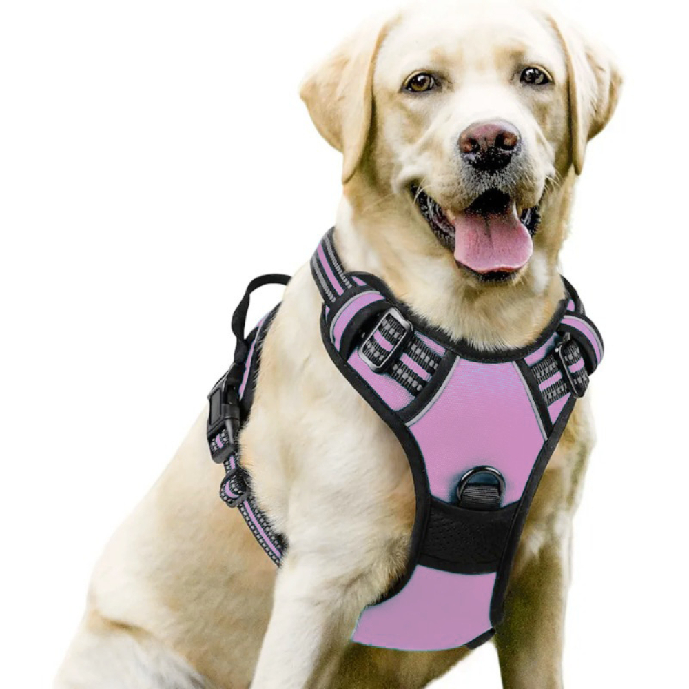 Luxury Nylon Dog Harnesses Reflective Pet Chest Strap for Large Dogs Fashionable Cartoon Style Button Closure Factory Wholesale Pet Harness,U-ME PET LUV,Luxury Nylon Dog Harnesses Reflective Pet Chest Strap for Large Dogs Fashionable Cartoon Style Button Closure Factory Wholesale