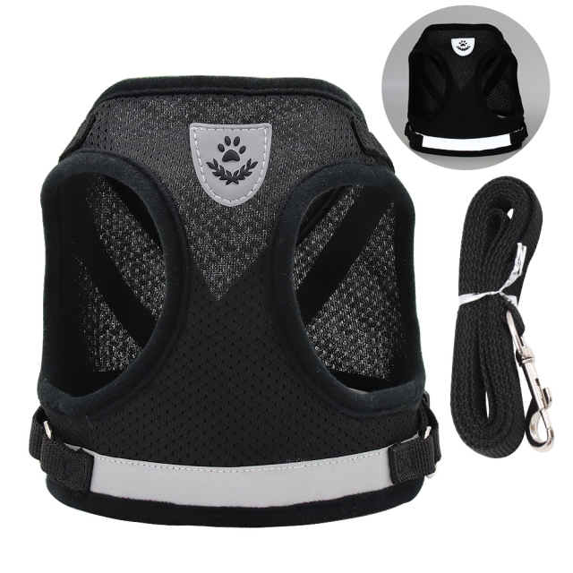 Lightweight Reflective Dog Harness for Small Dogs Breathable Mesh Puppy Vest with Leash Set Night Safety Fashion Pet Supplies,U-ME PET LUV,Lightweight Reflective Dog Harness for Small Dogs Breathable Mesh Puppy Vest with Leash Set Night Safety Fashion Pet Supplies