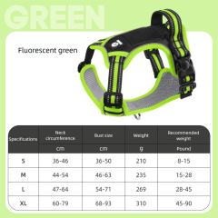 Color-blocking Green Black