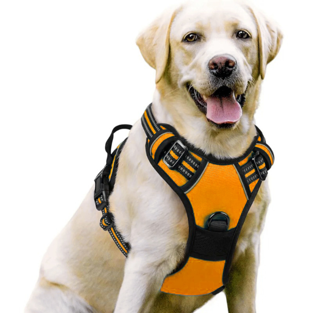 Luxury Nylon Dog Harnesses Reflective Pet Chest Strap for Large Dogs Fashionable Cartoon Style Button Closure Factory Wholesale Pet Harness,U-ME PET LUV,Luxury Nylon Dog Harnesses Reflective Pet Chest Strap for Large Dogs Fashionable Cartoon Style Button Closure Factory Wholesale