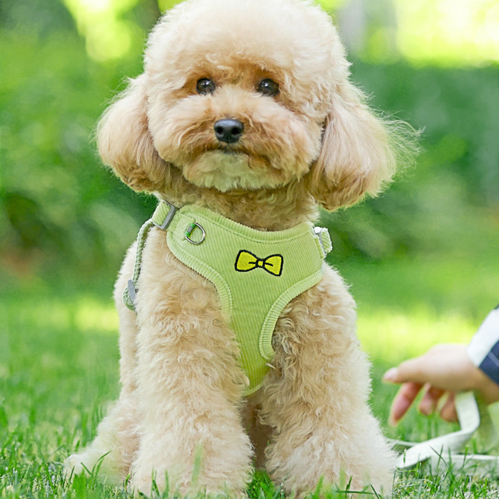 Wholesale Breathable Reflective Anti-Pull Mesh Pet Vest Harness Fashion for Small Medium Cats Dogs No Escape Dog Cat Harness,U-ME PET LUV,Wholesale Breathable Reflective Anti-Pull Mesh Pet Vest Harness Fashion for Small Medium Cats Dogs No Escape Dog Cat Harness