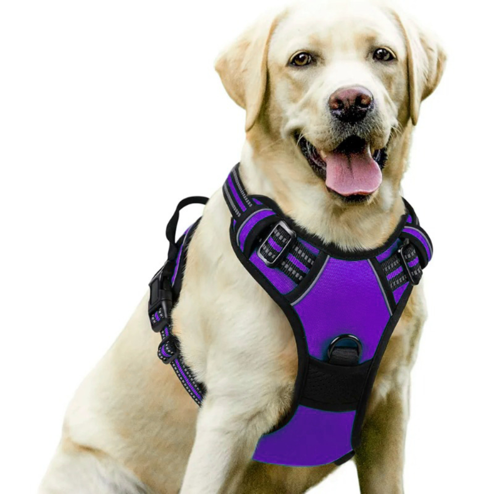 Luxury Nylon Dog Harnesses Reflective Pet Chest Strap for Large Dogs Fashionable Cartoon Style Button Closure Factory Wholesale Pet Harness,U-ME PET LUV,Luxury Nylon Dog Harnesses Reflective Pet Chest Strap for Large Dogs Fashionable Cartoon Style Button Closure Factory Wholesale