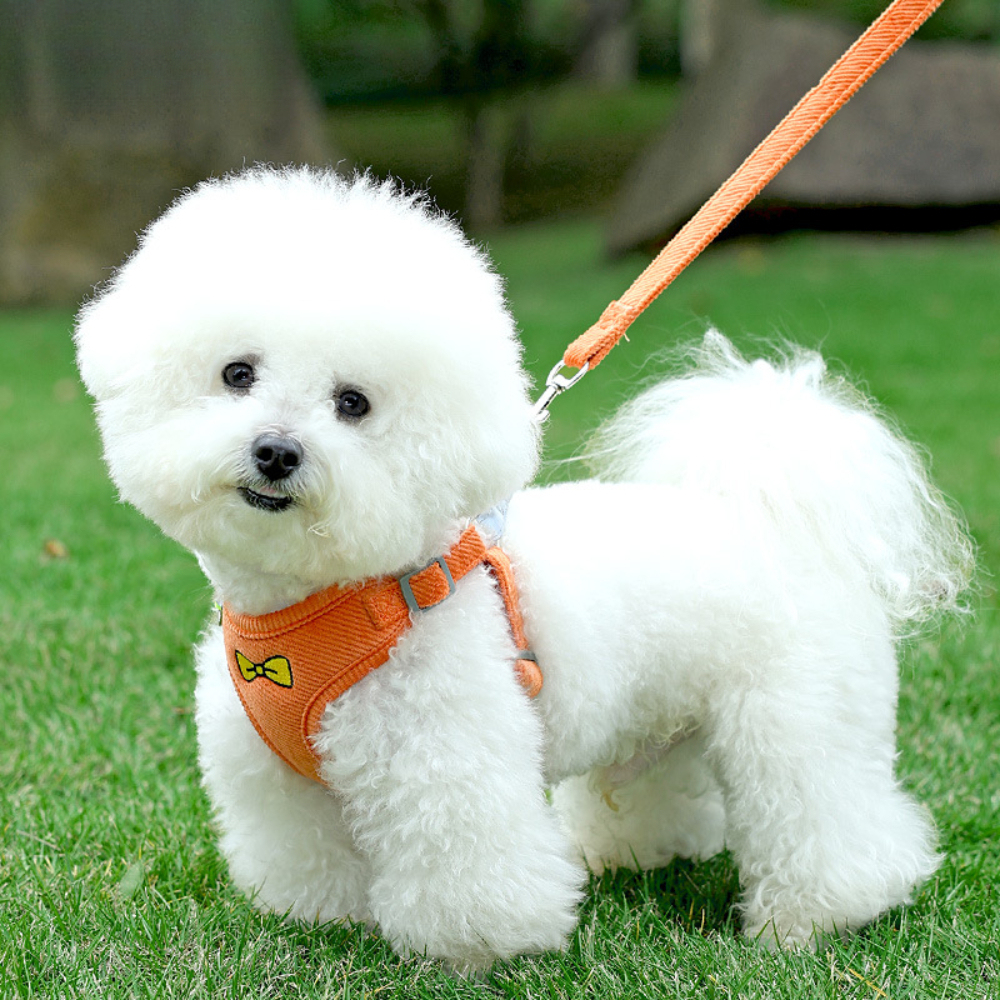Wholesale Breathable Reflective Anti-Pull Mesh Pet Vest Harness Fashion for Small Medium Cats Dogs No Escape Dog Cat Harness,U-ME PET LUV,Wholesale Breathable Reflective Anti-Pull Mesh Pet Vest Harness Fashion for Small Medium Cats Dogs No Escape Dog Cat Harness