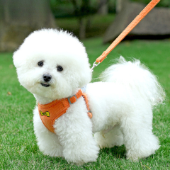 Wholesale Breathable Reflective Anti-Pull Mesh Pet Vest Harness Fashion for Small Medium Cats Dogs No Escape Dog Cat Harness,U-ME PET LUV,Wholesale Breathable Reflective Anti-Pull Mesh Pet Vest Harness Fashion for Small Medium Cats Dogs No Escape Dog Cat Harness