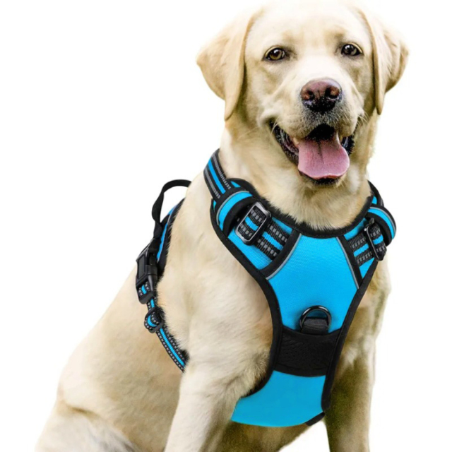 Luxury Nylon Dog Harnesses Reflective Pet Chest Strap for Large Dogs Fashionable Cartoon Style Button Closure Factory Wholesale Pet Harness,U-ME PET LUV,Luxury Nylon Dog Harnesses Reflective Pet Chest Strap for Large Dogs Fashionable Cartoon Style Button Closure Factory Wholesale