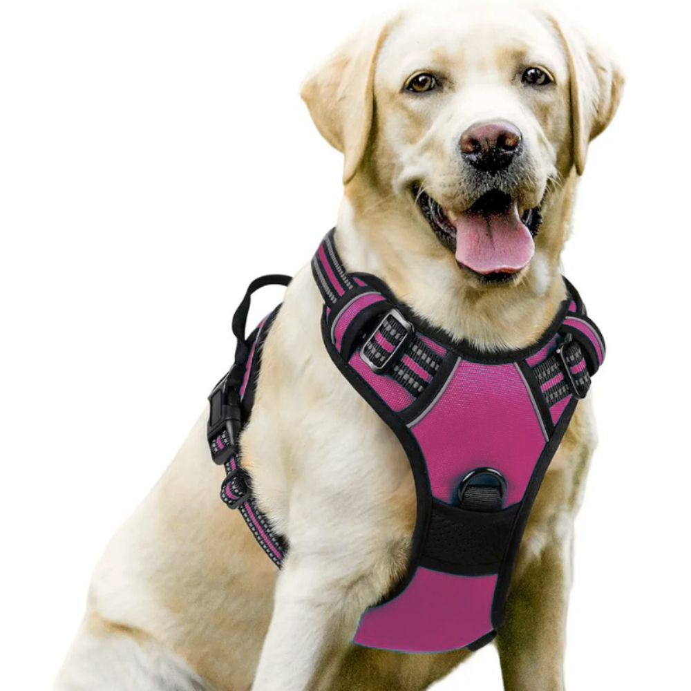 Luxury Nylon Dog Harnesses Reflective Pet Chest Strap for Large Dogs Fashionable Cartoon Style Button Closure Factory Wholesale Pet Harness,U-ME PET LUV,Luxury Nylon Dog Harnesses Reflective Pet Chest Strap for Large Dogs Fashionable Cartoon Style Button Closure Factory Wholesale